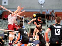 HOFMANSGil9THYSElias1810  Volleyball : Belgique, Lettonie, CEV 2019 Golden League, 