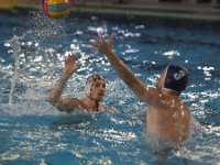 RDM-KWK16  Waterpolo : Dauphins, Mouscron, waterpolo, Kortrijk