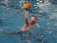 RDM-KWK19  Waterpolo : Dauphins, Mouscron, waterpolo, Kortrijk