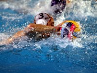 RDM-KWK20  Waterpolo : Dauphins, Mouscron, waterpolo, Kortrijk