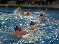 RDM-KWK24  Waterpolo : Dauphins, Mouscron, waterpolo, Kortrijk