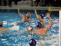 RDM-KWK27  Waterpolo : Dauphins, Mouscron, waterpolo, Kortrijk