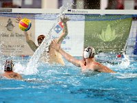 RDM-KWK43  Waterpolo : Dauphins, Mouscron, waterpolo, Kortrijk