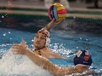 RDM-KWK44  Waterpolo : Dauphins, Mouscron, waterpolo, Kortrijk