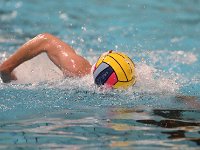 RDM-KWK54  Waterpolo : Dauphins, Mouscron, waterpolo, Kortrijk