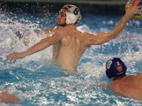 RDM-KWK63  Waterpolo : Dauphins, Mouscron, waterpolo, Kortrijk