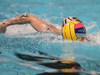 RDM-KAZSC38  Waterpolo : Mouscron, Antwarp, Waterpolo, Dauphins Mouscronnois