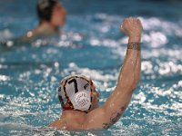 RDM-KAZSC64  Waterpolo : Mouscron, Antwarp, Waterpolo, Dauphins Mouscronnois