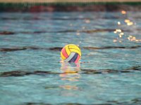 RDM-KAZSC71  Waterpolo : Mouscron, Antwarp, Waterpolo, Dauphins Mouscronnois