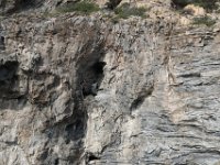 Visite Cadaqués  Balade maritime  Sta Margarida  Cadaqués : Balade martime
 Sta Margarida
 Cadqués