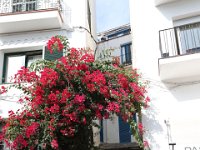 Visite Cadaqués  BBalade maritime  Sta Margarida  Cadaqués : Balade martime
 Sta Margarida
 Cadqués