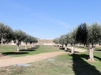 Ciudadela de Rosas  Musée de la citadelle à Roses