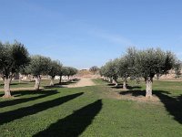 Ciudadela de Rosas  Musée de la citadelle à Roses