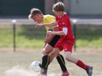KWSC Lauwe - Zwevegem Sport  Match amical : Football<br> Lauwe<br>Zwevegem<br>U17