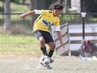 KWSC Lauwe - Zwevegem Sport  Match amical : Football<br> Lauwe<br>Zwevegem<br>U17