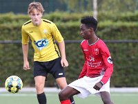KSV Pittem - KWS Club Lauwe  Championnat U21 : KSV Pittem<br>KWS Club Lauwe<br>Lauwe<br>Pittem