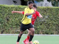 KSV Pittem - KWS Club Lauwe  Championnat U21 : KSV Pittem<br>KWS Club Lauwe<br>Lauwe<br>Pittem