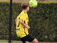 KSV Pittem - KWS Club Lauwe  Championnat U21 : KSV Pittem<br>KWS Club Lauwe<br>Lauwe<br>Pittem