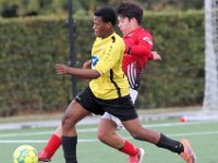KSV Pittem - KWS Club Lauwe  Championnat U21 : KSV Pittem<br>KWS Club Lauwe<br>Lauwe<br>Pittem